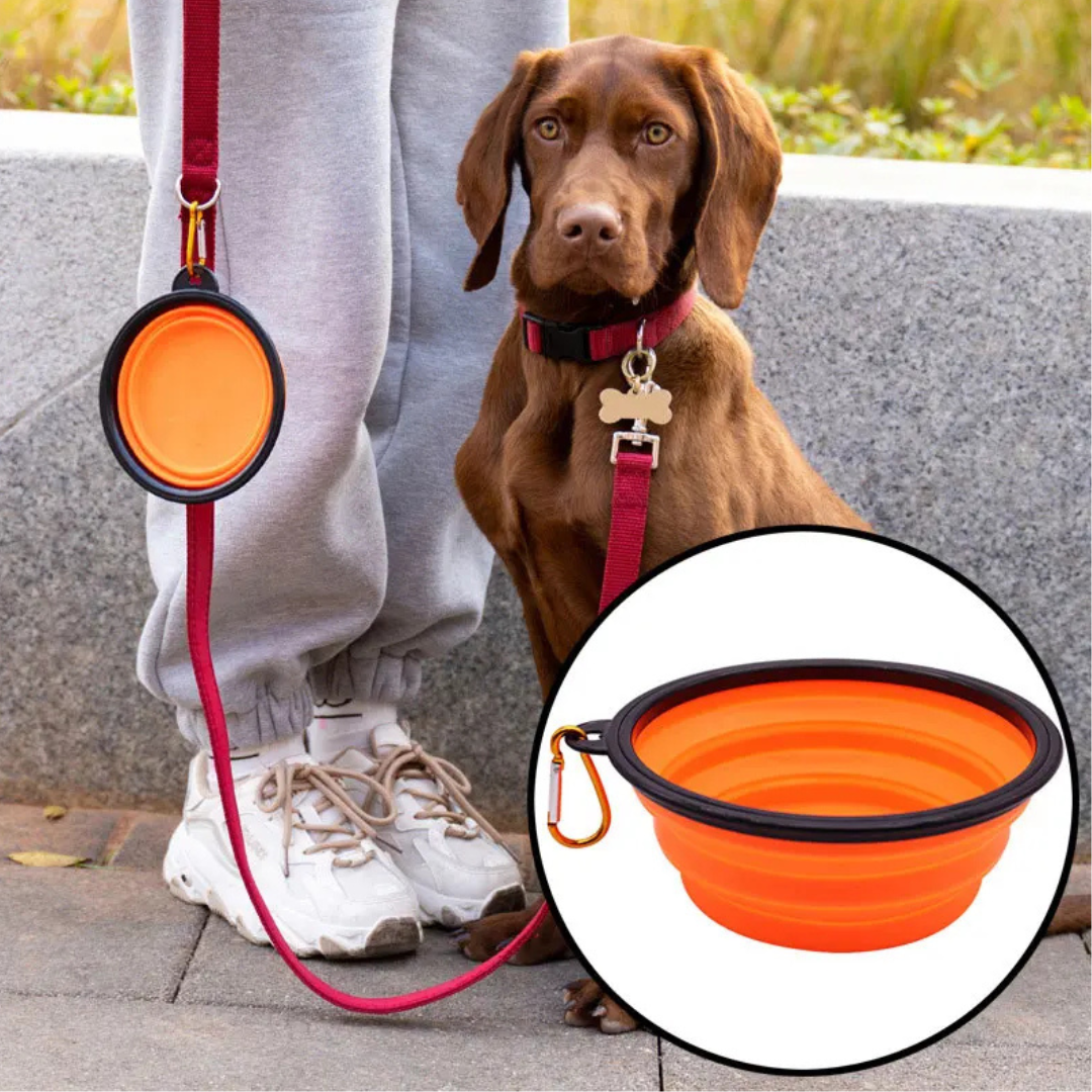 PawSip™ - Collapsible Dog Bowl