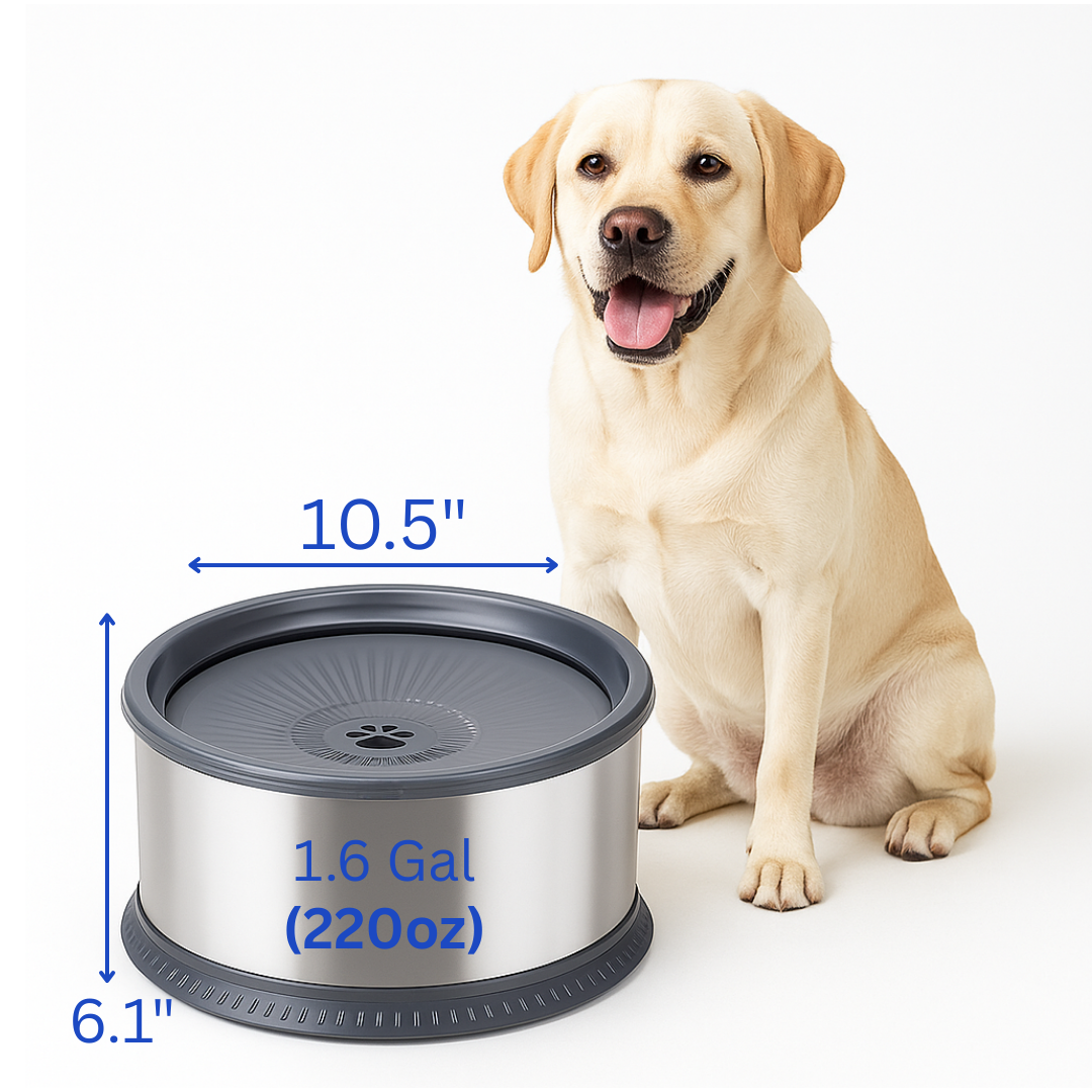 NoSplash™ - Dog Bowl 1.6Gal