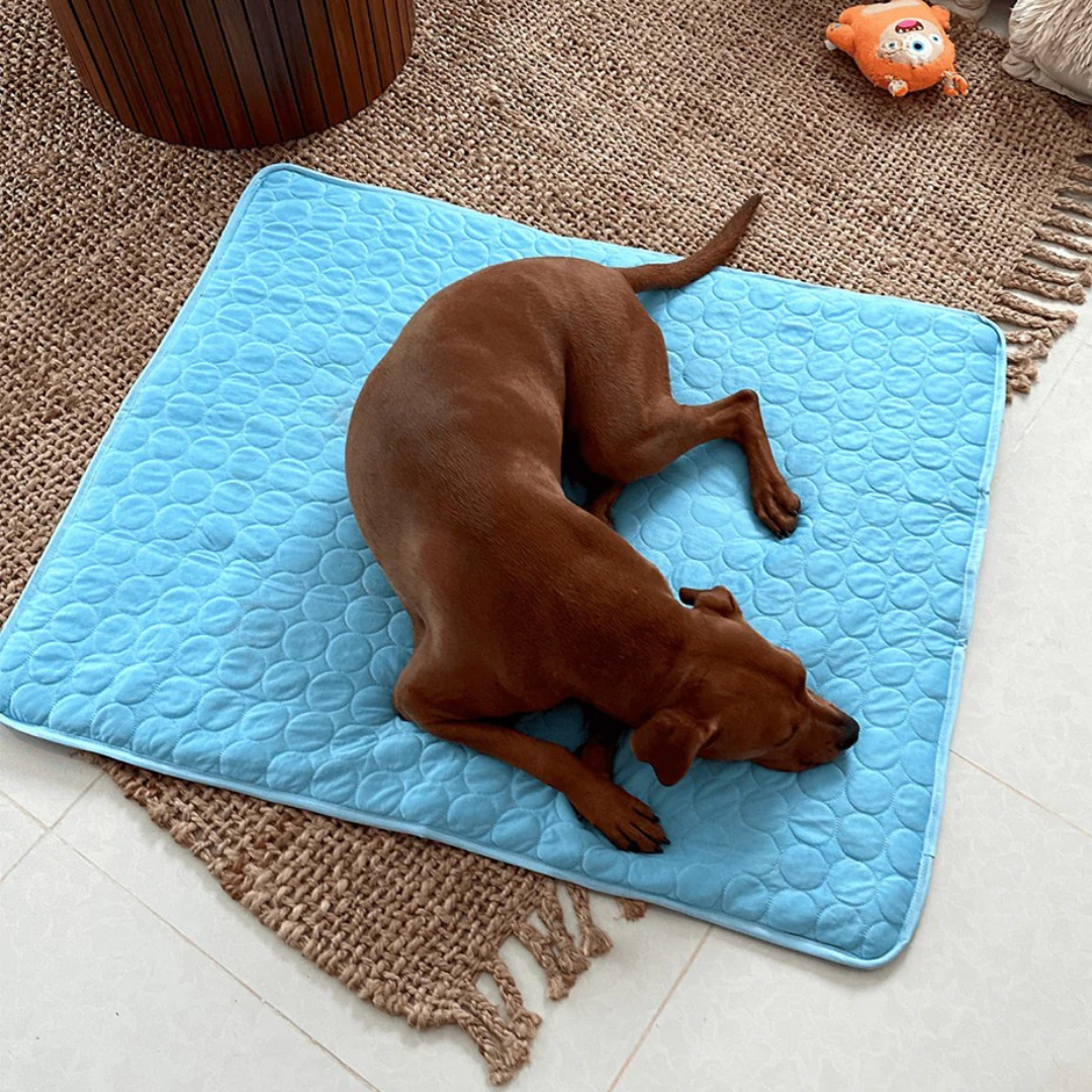CoolCanine™ - Premium Dog Cooling Pad